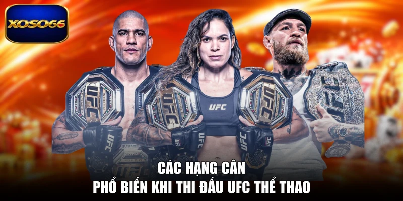 Các hạng cân phổ biến khi thi đấu UFC thể thao