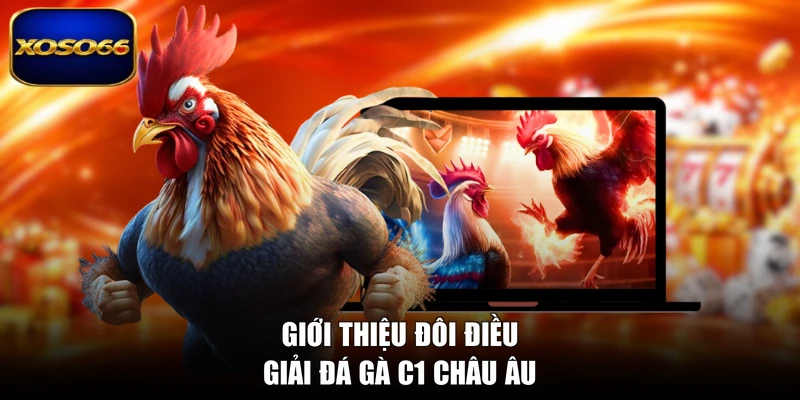 Giới thiệu đôi điều giải đá gà C1 châu Âu