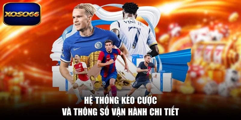 Hệ thống kèo cược và thông số vận hành chi tiết