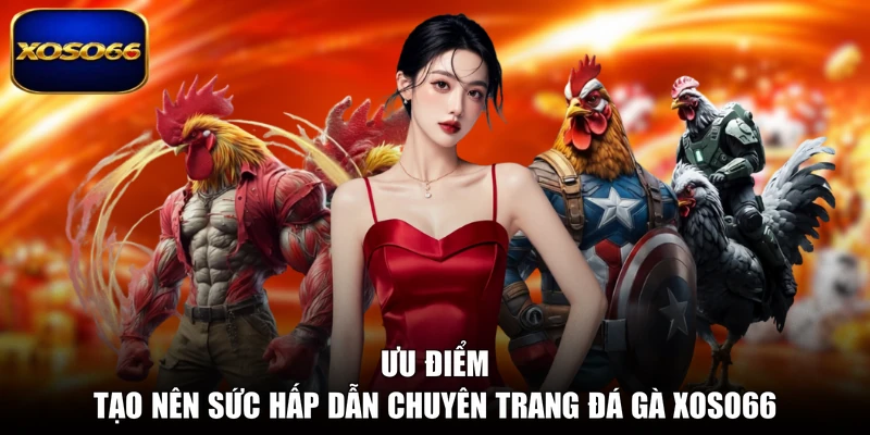 Ưu điểm tạo nên sức hấp dẫn chuyên trang đá gà XOSO66